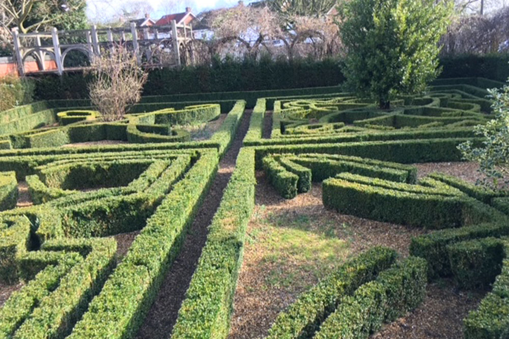 Image__0010_knot garden