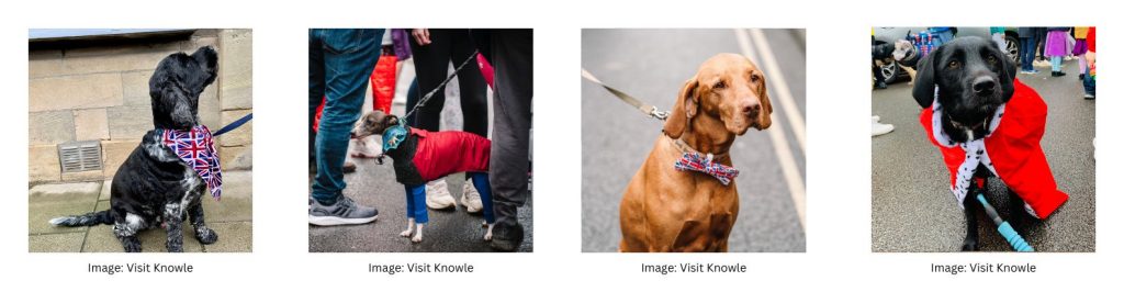 Dogs fit for a king at Knowle Coronation Celebrations