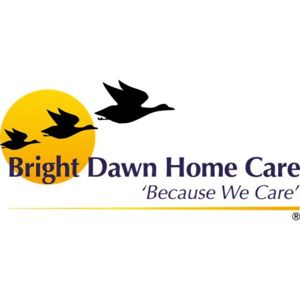 Bright Dawn Care Home with silhouettes of geese flying over a bright sun and wording Bright Dawn Home Care with a tag line because we care