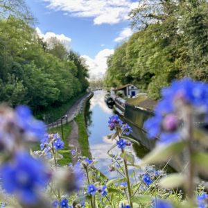 In the foreground are blue Spring wild flowers with a small canal wharf nestled in a tree lined canal